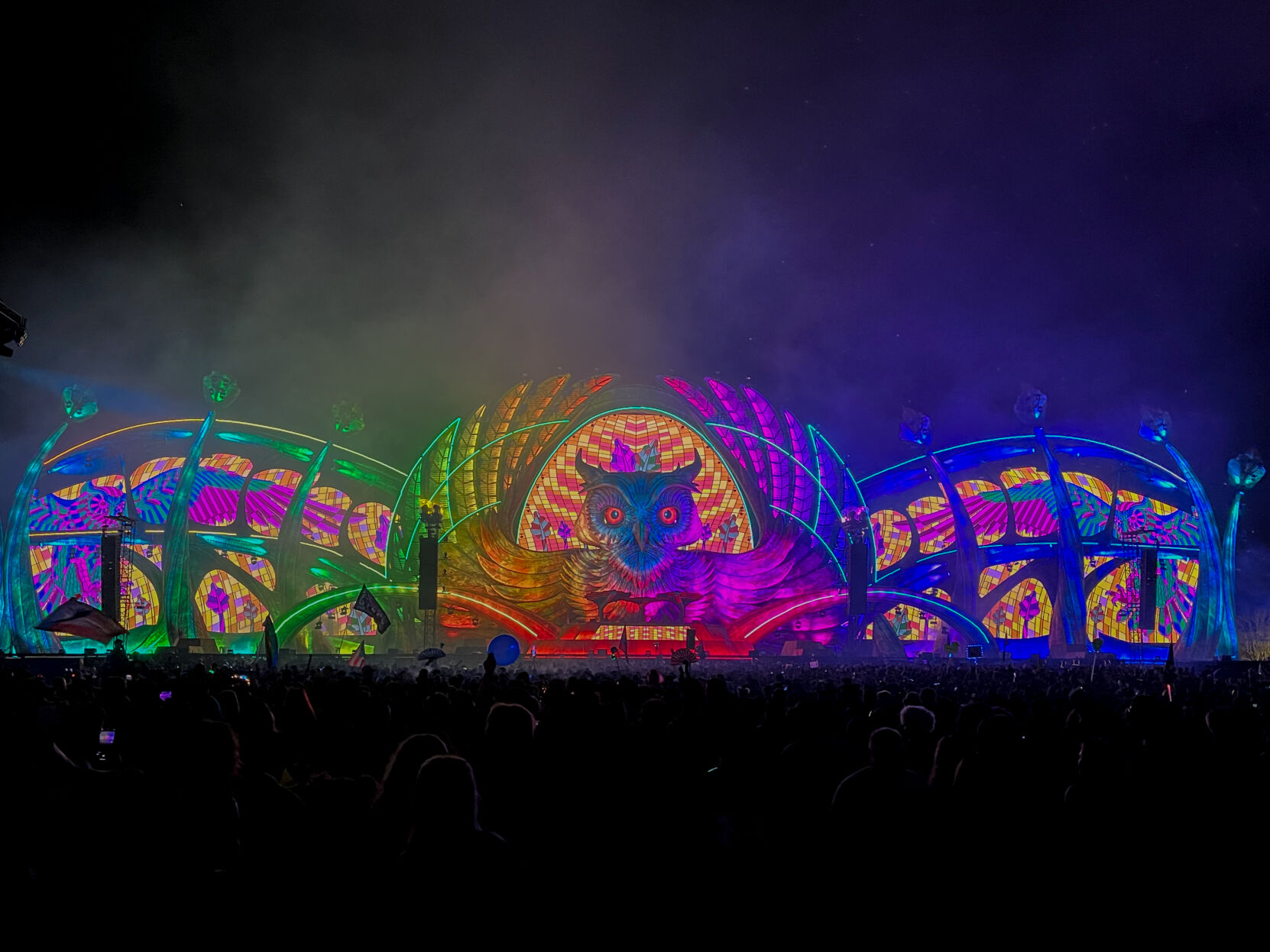 The immersive world of EDC